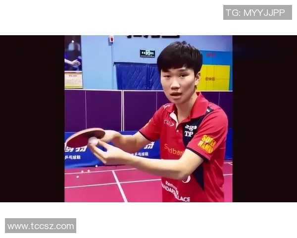 刘敏独家分享乒乓球技巧与心得助你提升球技的秘密宝典